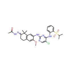 COc1cc2c(cc1Nc1ncc(Cl)c(Nc3ccccc3S(=O)(=O)C(C)C)n1)C(C)(C)/C(=N/NC(C)=O)CC2 ZINC000653727847