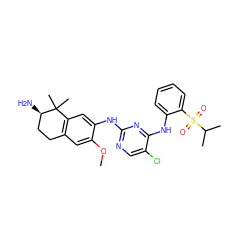 COc1cc2c(cc1Nc1ncc(Cl)c(Nc3ccccc3S(=O)(=O)C(C)C)n1)C(C)(C)[C@H](N)CC2 ZINC000653724638