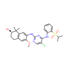 COc1cc2c(cc1Nc1ncc(Cl)c(Nc3ccccc3S(=O)(=O)C(C)C)n1)C(C)(C)[C@H](O)CC2 ZINC000653728677