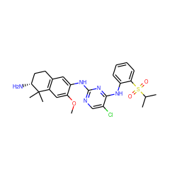 COc1cc2c(cc1Nc1ncc(Cl)c(Nc3ccccc3S(=O)(=O)C(C)C)n1)CC[C@@H](N)C2(C)C ZINC000653728724