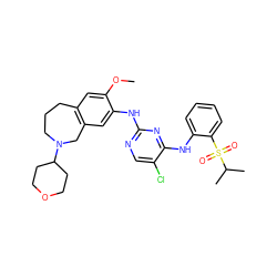 COc1cc2c(cc1Nc1ncc(Cl)c(Nc3ccccc3S(=O)(=O)C(C)C)n1)CN(C1CCOCC1)CCC2 ZINC000473129040