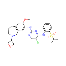 COc1cc2c(cc1Nc1ncc(Cl)c(Nc3ccccc3S(=O)(=O)C(C)C)n1)CN(C1COC1)CCC2 ZINC000473132755