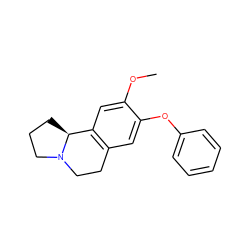 COc1cc2c(cc1Oc1ccccc1)CCN1CCC[C@@H]21 ZINC001772604157