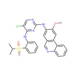 COc1cc2c(cnc3ccccc32)cc1Nc1ncc(Cl)c(Nc2ccccc2S(=O)(=O)C(C)C)n1 ZINC001772609084