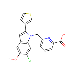 COc1cc2cc(-c3ccsc3)n(Cc3cccc(C(=O)O)n3)c2cc1Cl ZINC000169701326