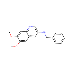 COc1cc2cc(NCc3ccccc3)cnc2cc1OC ZINC000003834030