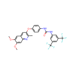 COc1cc2cc(Oc3ccc(NC(=O)Nc4cc(C(F)(F)F)cc(C(F)(F)F)c4)cc3)c(C)nc2cc1OC ZINC001772612177