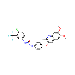 COc1cc2cc(Oc3ccc(NC(=O)Nc4ccc(Cl)c(C(F)(F)F)c4)cc3)c(C)nc2cc1OC ZINC001772625003