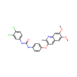 COc1cc2cc(Oc3ccc(NC(=O)Nc4ccc(Cl)c(Cl)c4)cc3)c(C)nc2cc1OC ZINC001772599590