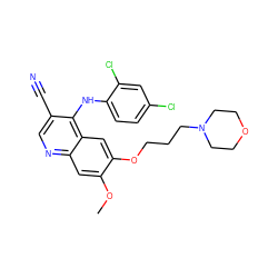 COc1cc2ncc(C#N)c(Nc3ccc(Cl)cc3Cl)c2cc1OCCCN1CCOCC1 ZINC000013862214