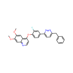 COc1cc2nccc(Oc3ccc(-c4ccc(Cc5ccccc5)nn4)cc3F)c2cc1OC ZINC000036488662