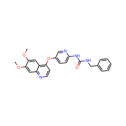 COc1cc2nccc(Oc3ccc(NC(=O)NCc4ccccc4)nc3)c2cc1OC ZINC000040863733