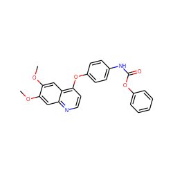 COc1cc2nccc(Oc3ccc(NC(=O)Oc4ccccc4)cc3)c2cc1OC ZINC000013684353