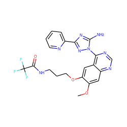 COc1cc2ncnc(-n3nc(-c4ccccn4)nc3N)c2cc1OCCCNC(=O)C(F)(F)F ZINC000653698589