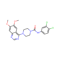 COc1cc2ncnc(N3CCN(C(=O)Nc4ccc(Cl)c(Cl)c4)CC3)c2cc1OC ZINC000013474794