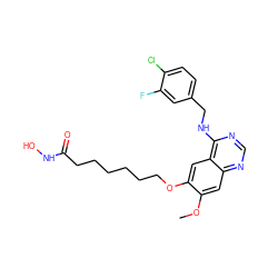 COc1cc2ncnc(NCc3ccc(Cl)c(F)c3)c2cc1OCCCCCCC(=O)NO ZINC000045356765