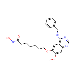 COc1cc2ncnc(NCc3ccccc3)c2cc1OCCCCCCC(=O)NO ZINC000045358129