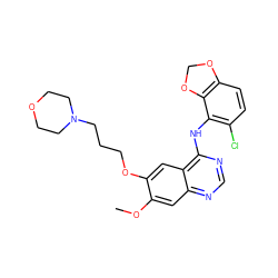 COc1cc2ncnc(Nc3c(Cl)ccc4c3OCO4)c2cc1OCCCN1CCOCC1 ZINC000013559427