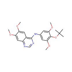 COc1cc2ncnc(Nc3cc(OC)c(OC(C)(C)C)c(OC)c3)c2cc1OC ZINC000014945462