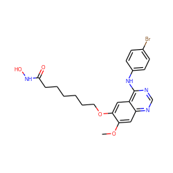 COc1cc2ncnc(Nc3ccc(Br)cc3)c2cc1OCCCCCCC(=O)NO ZINC000653707387