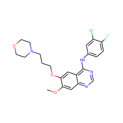 COc1cc2ncnc(Nc3ccc(F)c(Cl)c3)c2cc1OCCCN1CCOCC1 ZINC000019632614