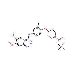 COc1cc2ncnc(Nc3ccc(OC4CCN(C(=O)CC(C)(C)C)CC4)c(C)c3)c2cc1OC ZINC000028706360