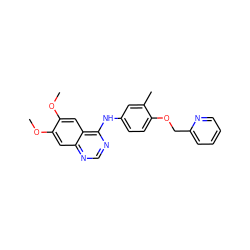 COc1cc2ncnc(Nc3ccc(OCc4ccccn4)c(C)c3)c2cc1OC ZINC000001485631