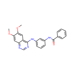 COc1cc2ncnc(Nc3cccc(NC(=O)c4ccccc4)c3)c2cc1OC ZINC000028389375