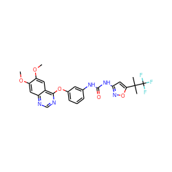 COc1cc2ncnc(Oc3cccc(NC(=O)Nc4cc(C(C)(C)C(F)(F)F)on4)c3)c2cc1OC ZINC000043207440