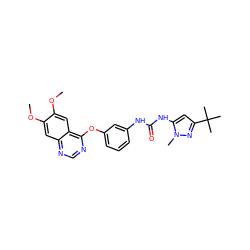 COc1cc2ncnc(Oc3cccc(NC(=O)Nc4cc(C(C)(C)C)nn4C)c3)c2cc1OC ZINC000084671320