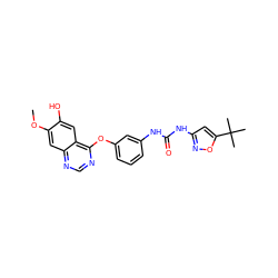 COc1cc2ncnc(Oc3cccc(NC(=O)Nc4cc(C(C)(C)C)on4)c3)c2cc1O ZINC000072180939