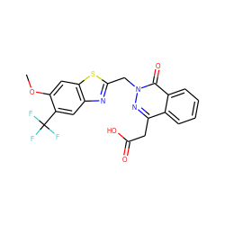 COc1cc2sc(Cn3nc(CC(=O)O)c4ccccc4c3=O)nc2cc1C(F)(F)F ZINC000013860769