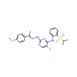 COc1ccc(/C(C)=N/Nc2ncc(Cl)c(Nc3ccccc3S(=O)(=O)C(C)C)n2)cc1 ZINC001772578219