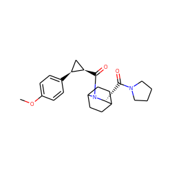 COc1ccc([C@H]2C[C@H]2C(=O)N2C3CCC(CC3)[C@H]2C(=O)N2CCCC2)cc1 ZINC000026401826