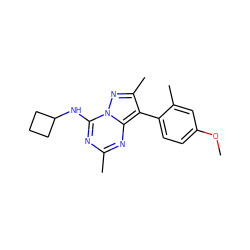 COc1ccc(-c2c(C)nn3c(NC4CCC4)nc(C)nc23)c(C)c1 ZINC000040940293