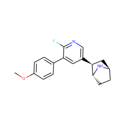 COc1ccc(-c2cc([C@H]3C[C@H]4CC[C@H]3N4)cnc2F)cc1 ZINC000299805981