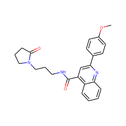 COc1ccc(-c2cc(C(=O)NCCCN3CCCC3=O)c3ccccc3n2)cc1 ZINC000009486085