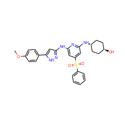 COc1ccc(-c2cc(Nc3cc(S(=O)(=O)c4ccccc4)cc(N[C@H]4CC[C@H](O)CC4)n3)n[nH]2)cc1 ZINC000299840843