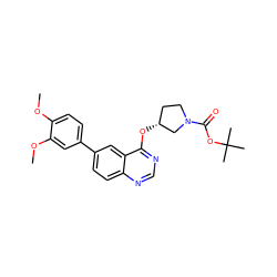 COc1ccc(-c2ccc3ncnc(O[C@@H]4CCN(C(=O)OC(C)(C)C)C4)c3c2)cc1OC ZINC001772577468