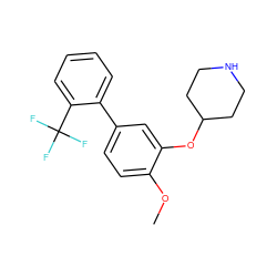 COc1ccc(-c2ccccc2C(F)(F)F)cc1OC1CCNCC1 ZINC000096175961