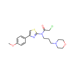 COc1ccc(-c2csc(N(CCCN3CCOCC3)C(=O)CCl)n2)cc1 ZINC000019823148