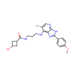 COc1ccc(-c2nc3c(NCCCNC(=O)C4CC(O)C4)c(Br)cnc3[nH]2)cc1 ZINC000084603155