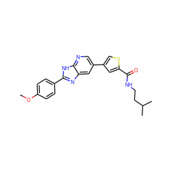 COc1ccc(-c2nc3cc(-c4csc(C(=O)NCCC(C)C)c4)cnc3[nH]2)cc1 ZINC000103248076