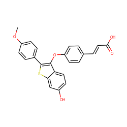 COc1ccc(-c2sc3cc(O)ccc3c2Oc2ccc(/C=C/C(=O)O)cc2)cc1 ZINC000221175213