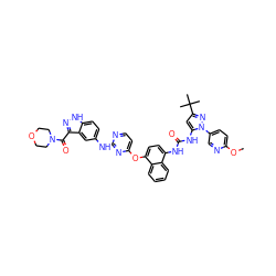 COc1ccc(-n2nc(C(C)(C)C)cc2NC(=O)Nc2ccc(Oc3ccnc(Nc4ccc5[nH]nc(C(=O)N6CCOCC6)c5c4)n3)c3ccccc23)cn1 ZINC000211094313