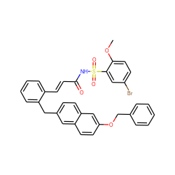 COc1ccc(Br)cc1S(=O)(=O)NC(=O)/C=C/c1ccccc1Cc1ccc2cc(OCc3ccccc3)ccc2c1 ZINC000049942428