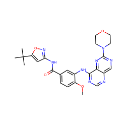 COc1ccc(C(=O)Nc2cc(C(C)(C)C)on2)cc1Nc1ncnc2cnc(N3CCOCC3)nc12 ZINC000148088456