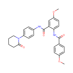 COc1ccc(C(=O)Nc2ccc(OC)cc2C(=O)Nc2ccc(N3CCCCC3=O)cc2)cc1 ZINC000299868501