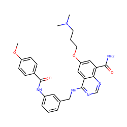 COc1ccc(C(=O)Nc2cccc(CNc3ncnc4c(C(N)=O)cc(OCCCN(C)C)cc34)c2)cc1 ZINC000114347075