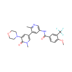 COc1ccc(C(=O)Nc2cnc(C)c(-c3cc(N4CCOCC4)c(=O)n(C)c3)c2)cc1C(F)(F)F ZINC000225960632